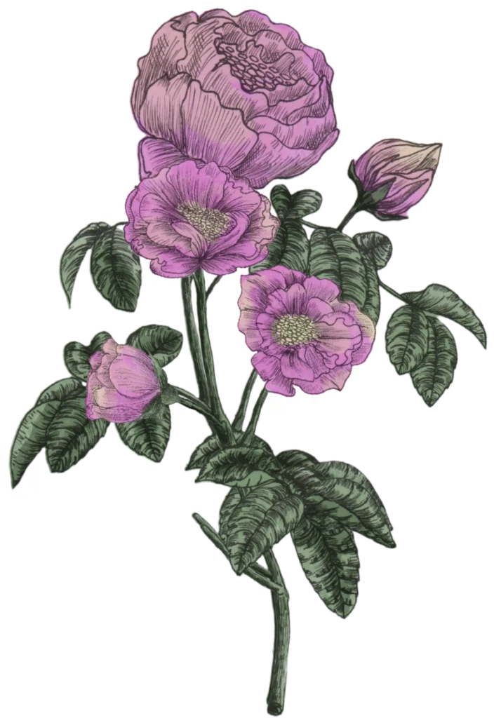 Home flowers
